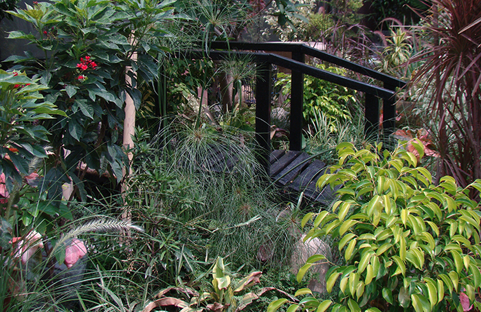Tropical Gardens