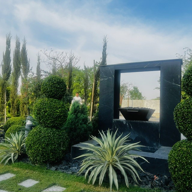 Californian Garden