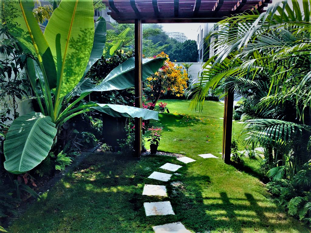 South City Gurgaon
