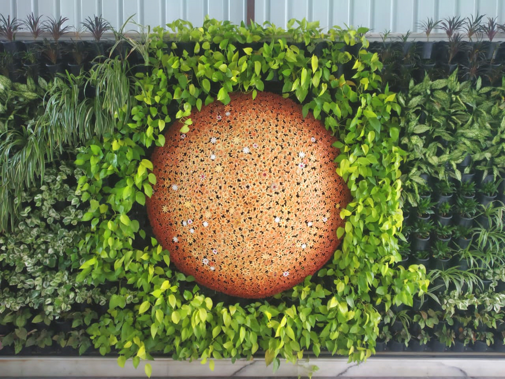 Vertical Gardens